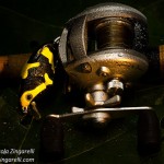 Shimano nyeletőfékes orsó bármilyen helyzetre